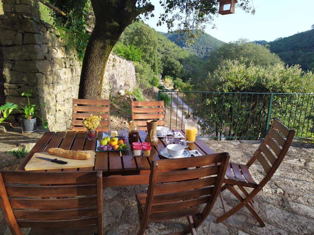Chambre Cevennes: Piscine, Lamas, Riviere Cros  Ngoại thất bức ảnh