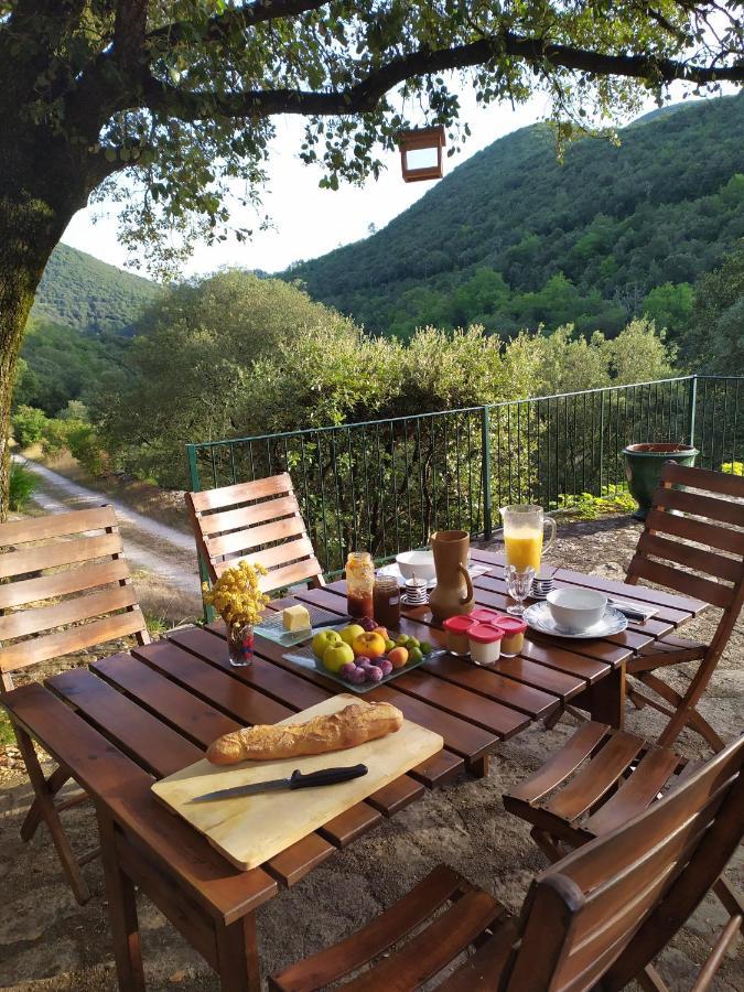 Chambre Cevennes: Piscine, Lamas, Riviere Cros  Ngoại thất bức ảnh